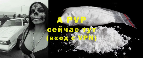 ешки Абаза