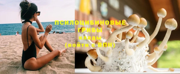 ешки Няндома